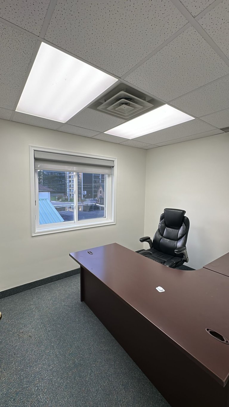 Modern office space with dark wood desk, black executive chair, window view, ceiling lights, and beige walls