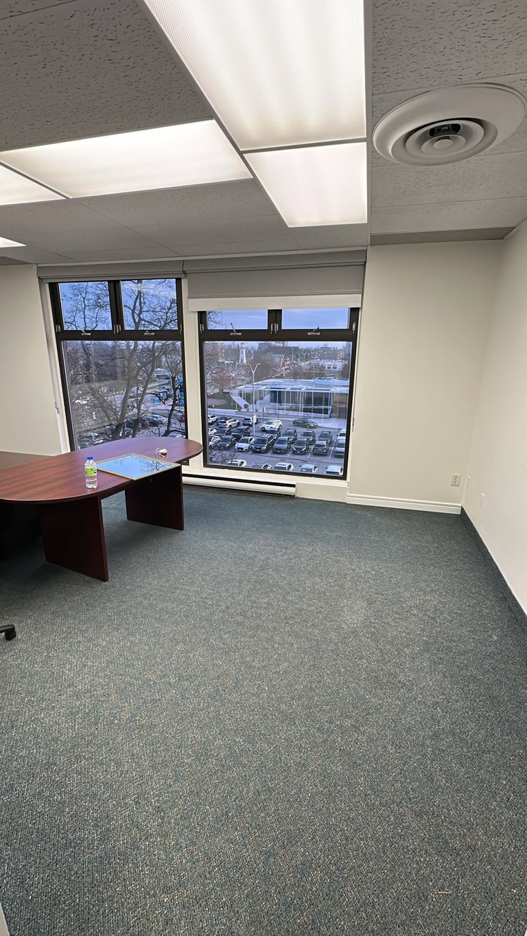 Modern office space with wood desk, gray carpet, bright ceiling panels, and large windows overlooking parking lot