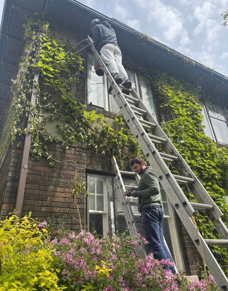 Two workers on a tall ladder cleaning ivy-covered brick house exterior surrounded by purple flowers